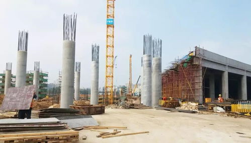 山東日京建材解讀木制圓柱模板行業發展趨勢與計算機系統服務的融合